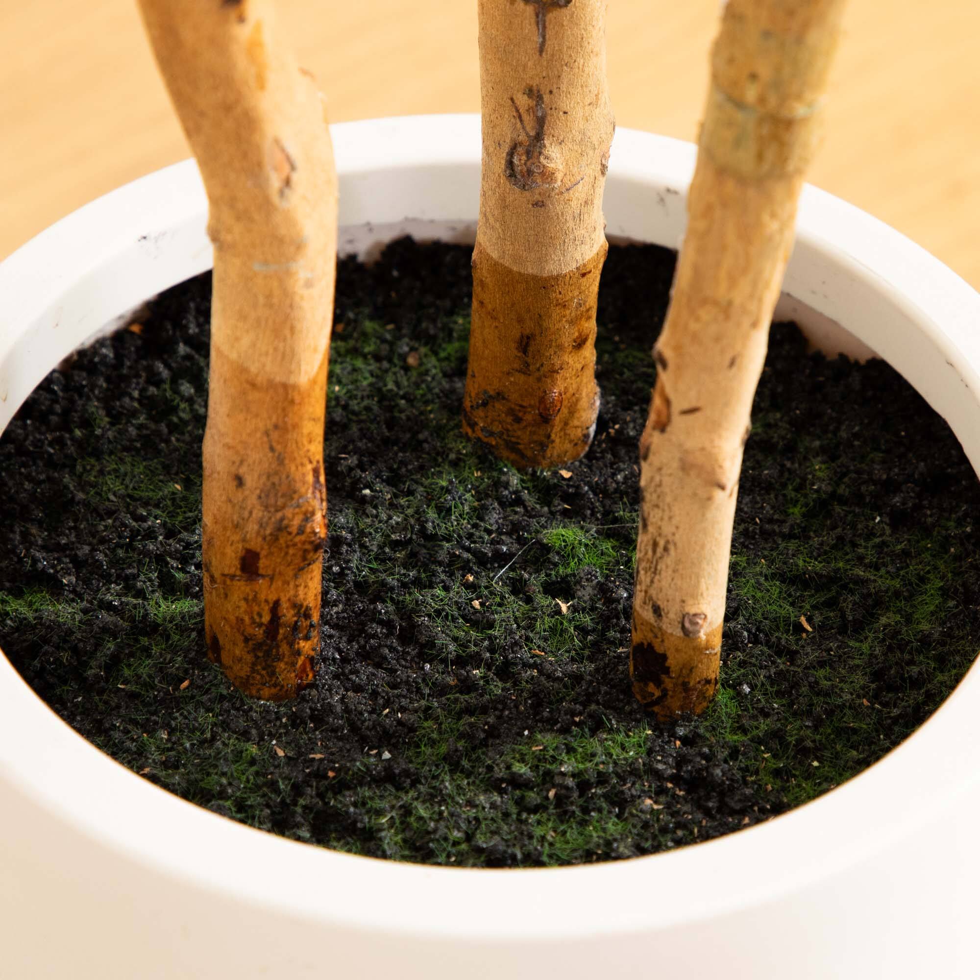 4ft. Fiddle Leaf Tree in Decorative White Planter